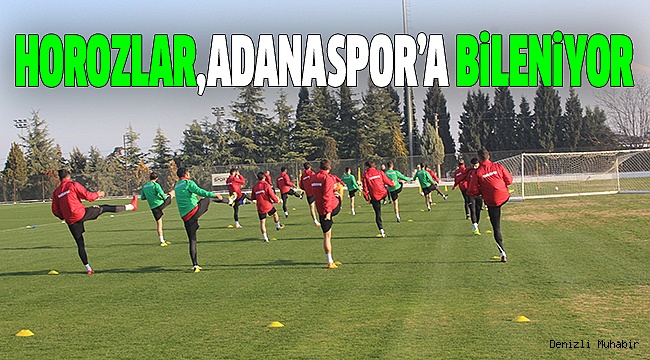 DENİZLİSPOR, ADANASPOR HAZIRLIKLARINA BAŞLADI