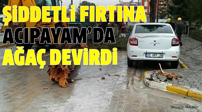 DEVRİLEN AĞAÇ OTOMOBİLİN ÜSTÜNE DÜŞTÜ