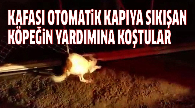 İTFAİYE EKİBİ HAYATINI KURTARDI