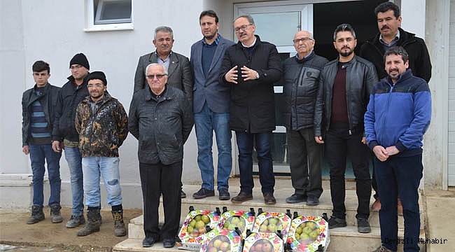 TAVAS HER GEÇEN GÜN MEYVELENİYOR