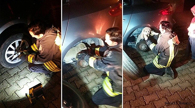 TEKERLEĞE SIKIŞAN YAVRU KÖPEK KURTARILDI
