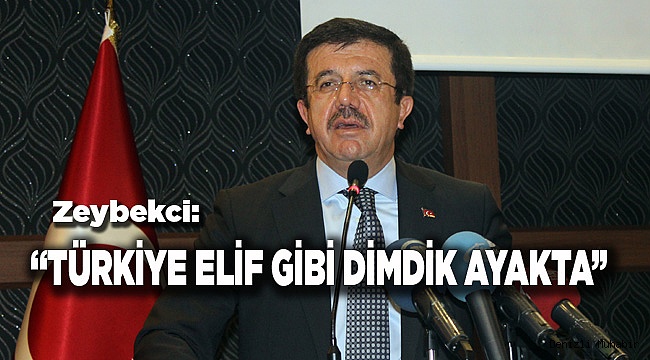 "Türkiye Elif gibi dimdik ayakta"