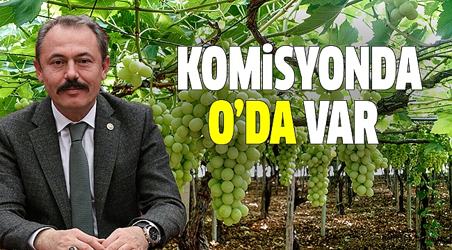 ÜZÜM ÜRETİCİLERİNİN SORUNLARI ARAŞTIRILACAK