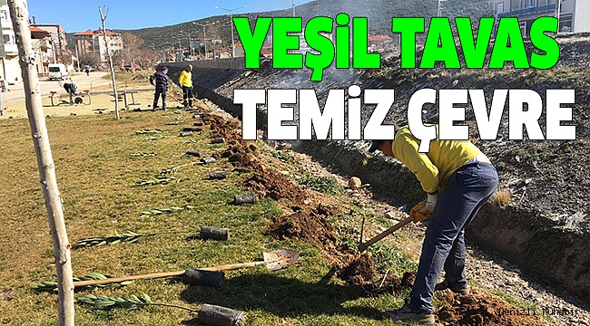 ÇEVRECİ BAŞKAN TÜM İLÇEYİ AĞAÇLANDIRIYOR