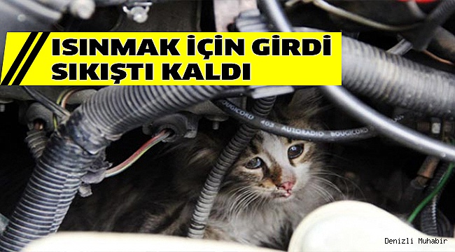 SIKIŞTIĞI YERDEN TAMİRCİ KURTARDI