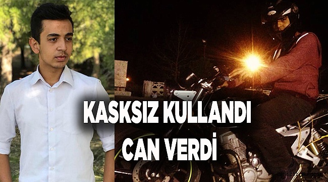 TARLA YOLUNDA CAN VERDİ