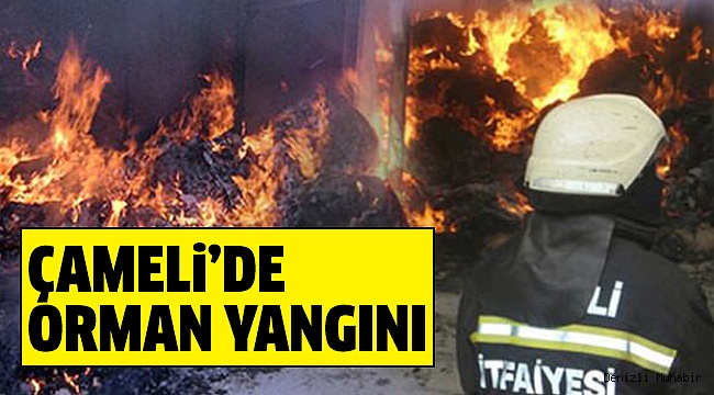 GÜRSU-TAŞÇILAR YOLUNDA ORMAN YANGINI