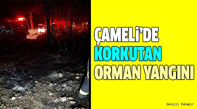 300 METREKARE ALAN KÜL OLDU
