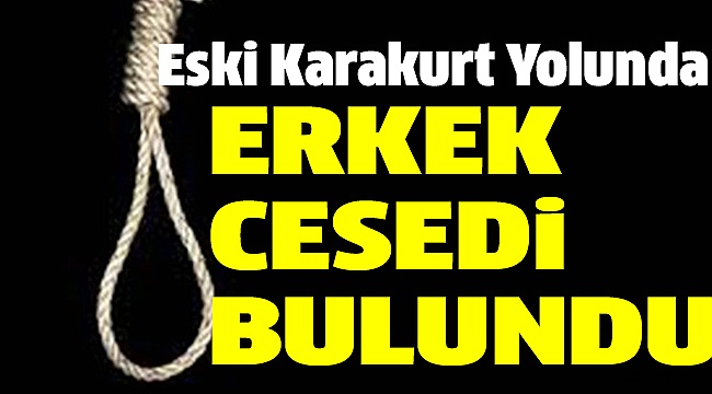 CESEDİN KİMLİĞİ BELİRLENDİ