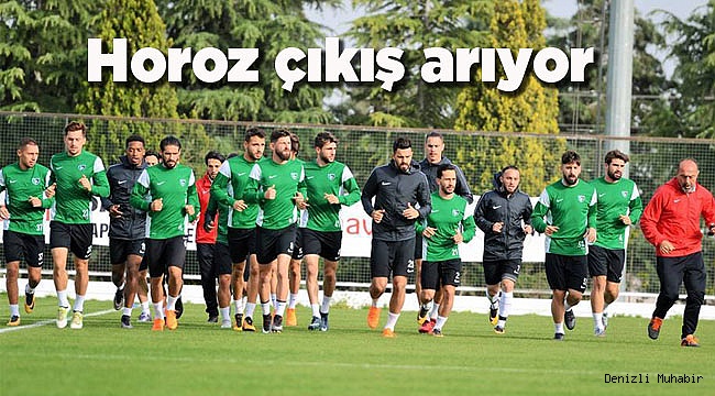Horoz çıkış arıyor