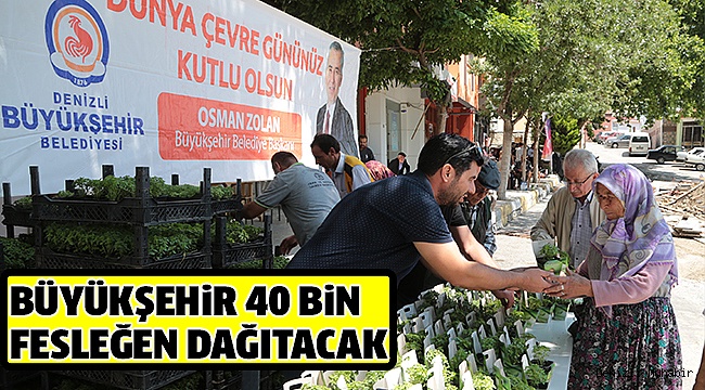 19 İLÇEDE FESLEĞEN DAĞITIMI YAPILACAK