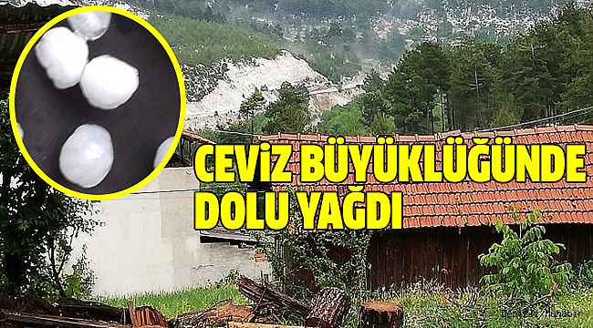 ACIPAYAM'DA DOLU EKİNLERE ZARAR VERDİ