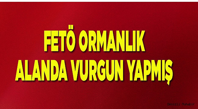 FETÖ’nün ormanlık alan üzerinden yaptığı vurgun mahkemede ortaya çıktı