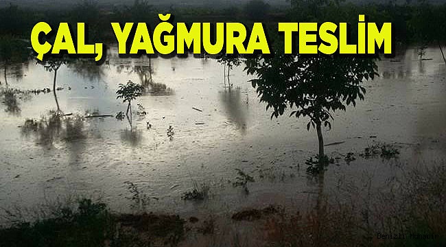 GÜNEY VE ÇAL YAĞMURA TESLİM