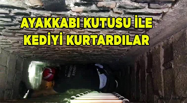 Havalandırma boşluğuna düşen kedileri itfaiye kurtardı