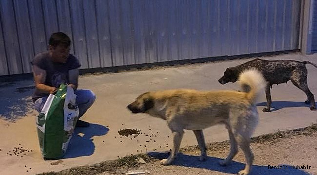 Herkes iftar yaparken onlar sokak hayvanlarını besliyor