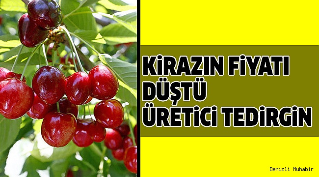 KİRAZ FİYATI 14 LİRADAN 6 LİRAYA DÜŞTÜ