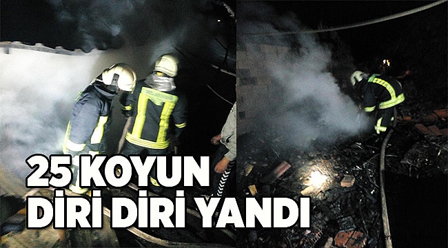 Ahırda çıkan yangında 21 hayvan telef oldu