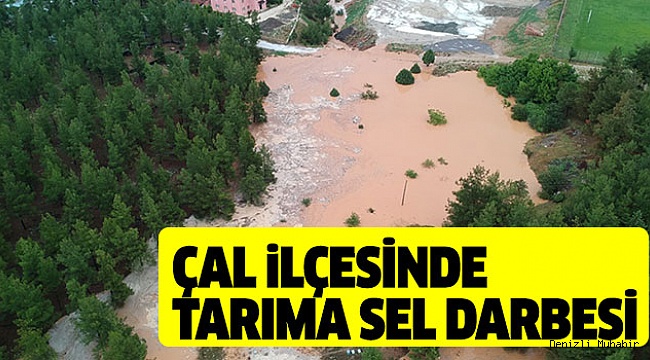 ÇAL'DA MEYDANA GELEN ZARAR 35 MİLYON TL