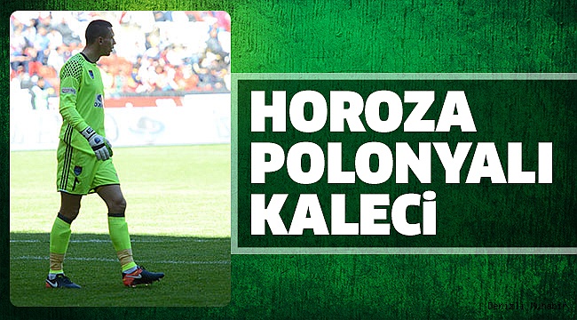 HOROZLAR TRANSFER LİSTESİ HAZIRLIYOR