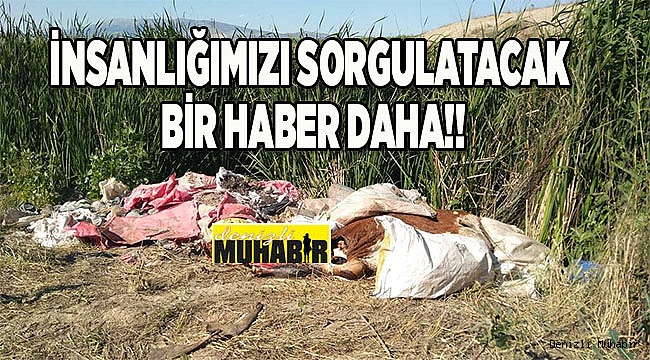 İNSANLIĞIMIZI SORGULATACAK BİR HABER DAHA!!