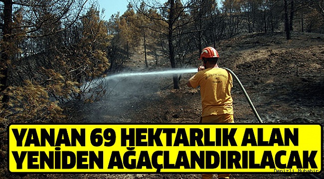 ORMANLIK ALANA 100 BİN FİDAN DİKİLECEK