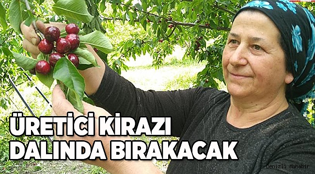 ÜRETİCİ KİRAZI DALINDA BIRAKACAK