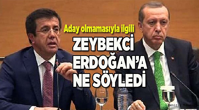 ZEYBEKCİ ERDOĞAN’A NE SÖYLEDİ?