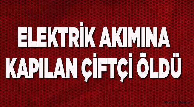 Elektrik kaçağı ölümüne neden oldu