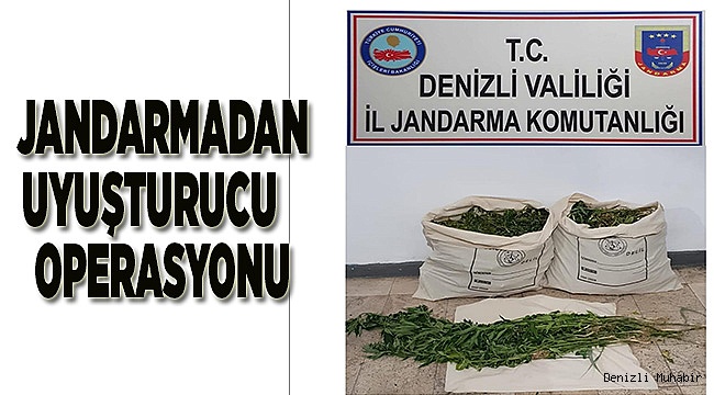 Jandarmadan uyuşturucu operasyonu