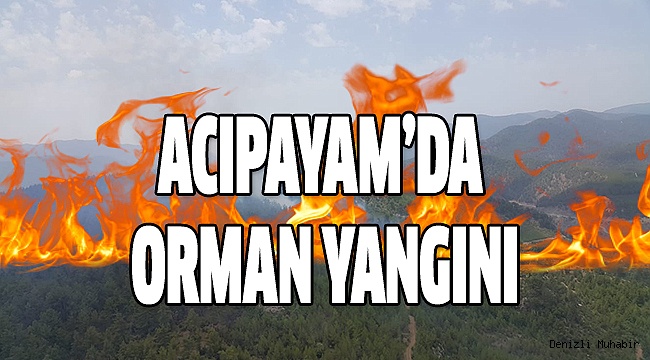 Kızılçam ormanında yangın!
