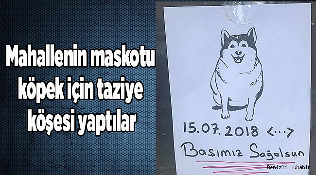 Mahallenin maskotu köpek için taziye köşesi yaptılar