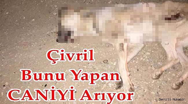 O 3 KİŞİ ARANIYOR