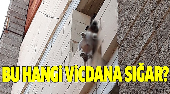 O VİCDANSIZ HALA ARAMIZDA