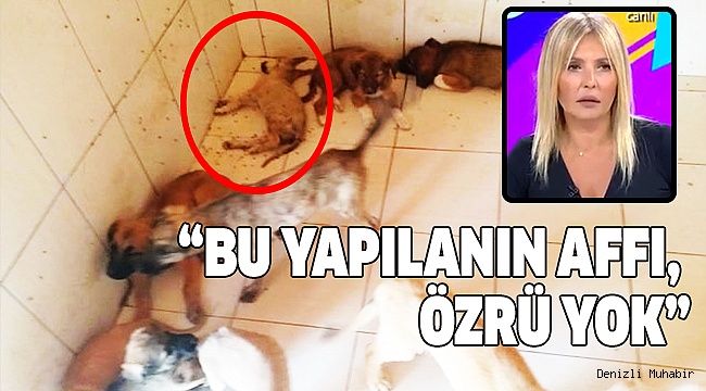 ÜNLÜ SUNUCU BAŞKAN ZOLAN'A SESLENDİ