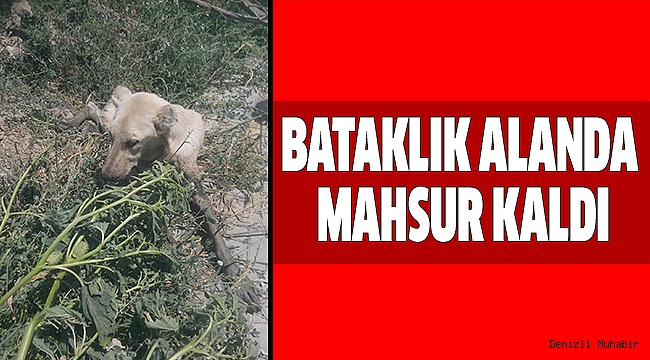 YARDIMINA İTFAİYE EKİBİ KOŞTU