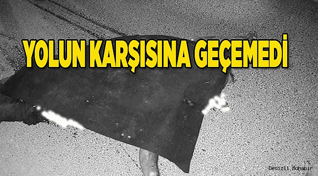 YOLUN KARŞISINA GEÇEMEDİ