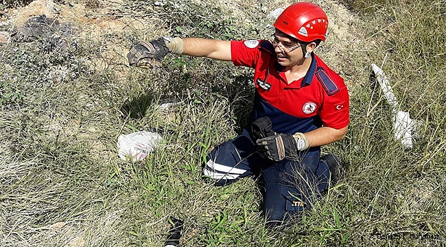 Boruya sıkışan 4 kaplumbağayı itfaiye kurtardı
