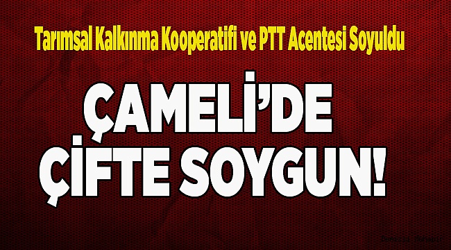 ÇAMELİ GÜZELYURT’TA ÇİFTE SOYGUN