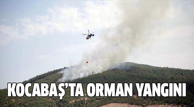 İKİ DEKARLIK ORMAN ALANI HASAR GÖRDÜ