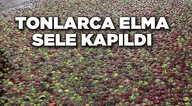 TONLARCA ELMA ZİYAN OLDU