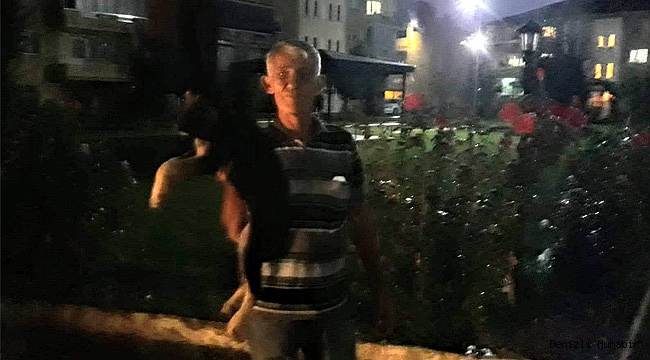 Yağmurda mahsur kalan yavru köpeği barınağa aldılar