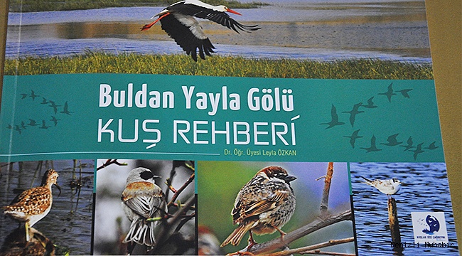 YAYLA GÖLÜNÜN KUŞLARI KİTAP OLDU