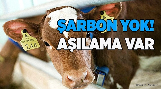 Aşılama Var Şarbon Yok