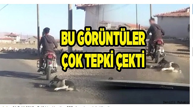 BU GÖRÜNTÜLER TEPKİ ÇEKTİ