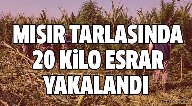 BULDAN’DA UYUŞTURUCU OPERASYONU:2 GÖZALTI