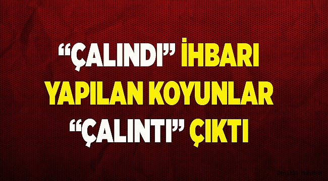 "Çalındı" ihbarı yaptığı koyunlar "çalıntı" çıktı