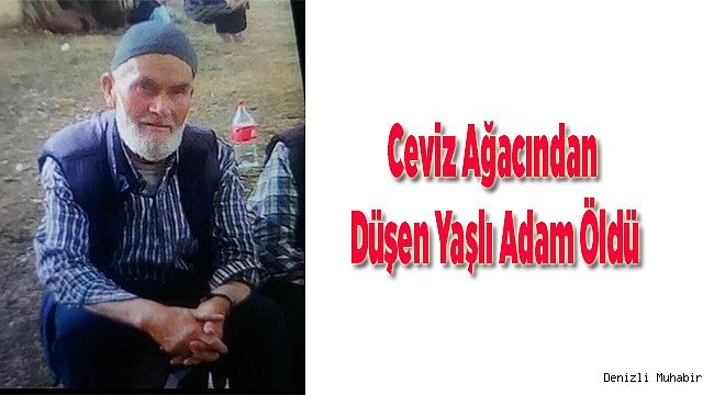 Ceviz Ağacından Düşen Yaşlı Adam Öldü