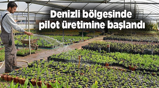 DENİZLİ'DE PİLOT ÜRETİME BAŞLANDI
