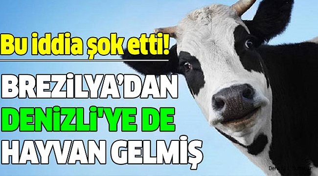 DENİZLİ'DE TEHLİKE ALTINDA MI?